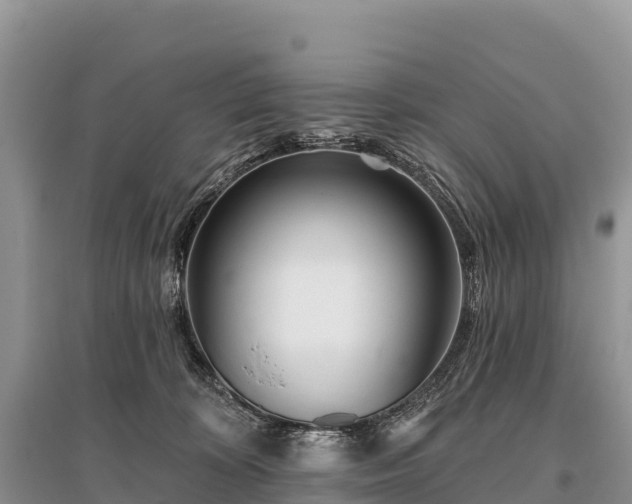 X0000096150324200801251110