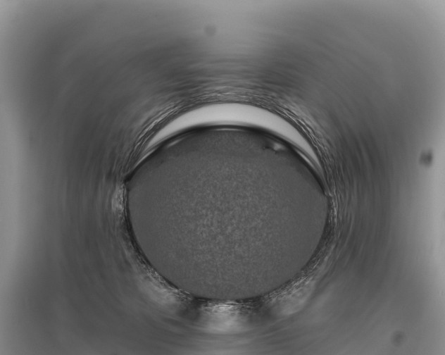 X0000096150325200801251110