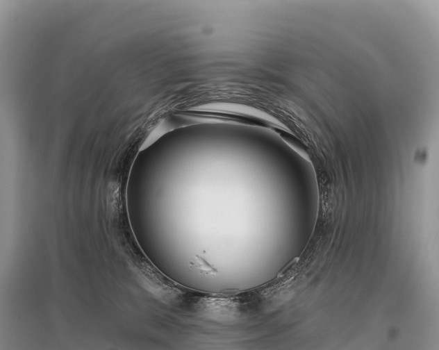 X0000096150327200801251110