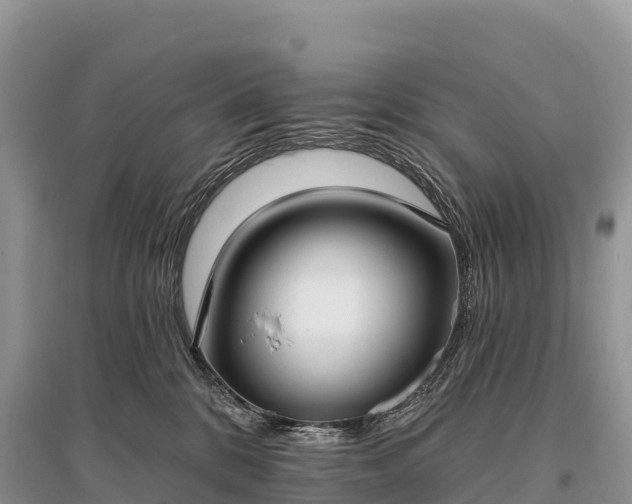 X0000096150328200801251110