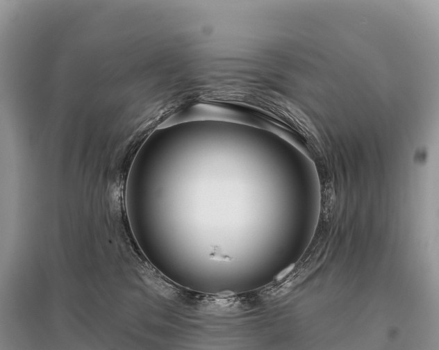 X0000096150329200801251110