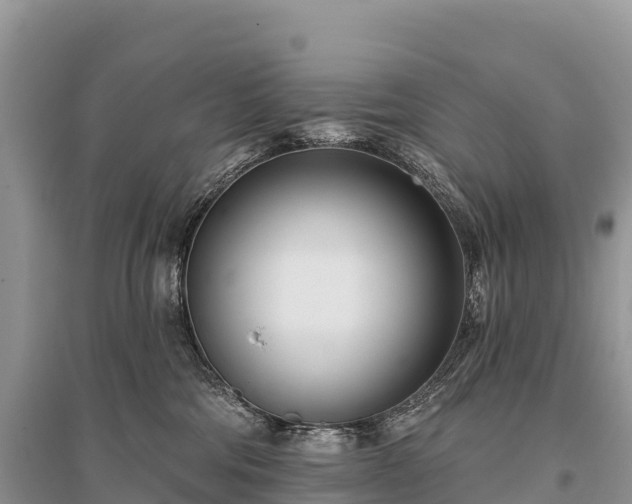 X0000096150330200801251110