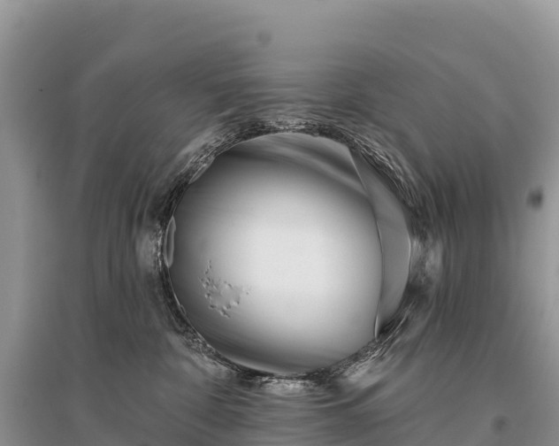 X0000096150332200801251110