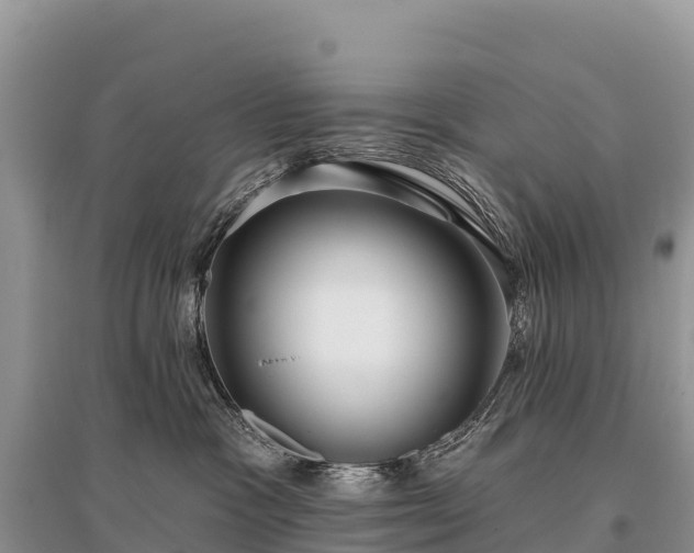 X0000096150333200801251110