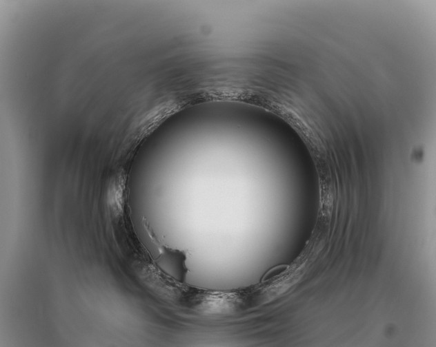 X0000096150334200801251110