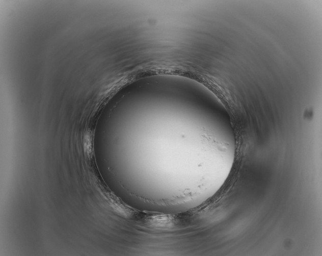 X0000096150335200801251110