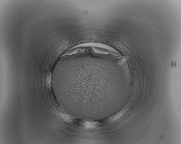 X0000096150336200801251110