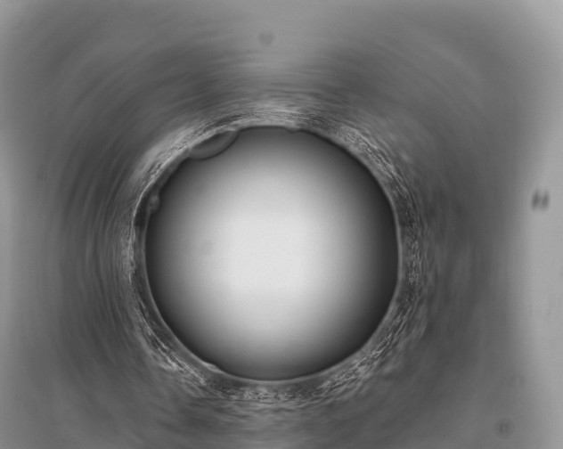 X0000096150338200801251109