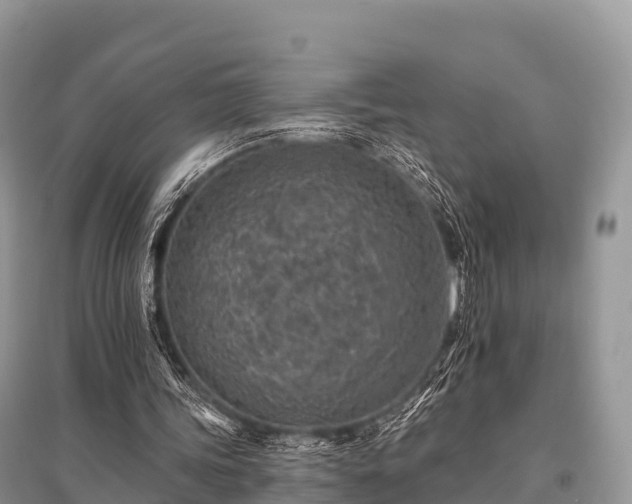 X0000096150339200801251109