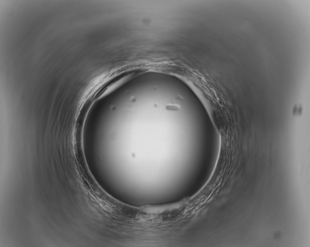 X0000096150340200801251109