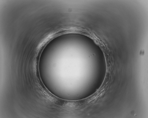 X0000096150341200801251109