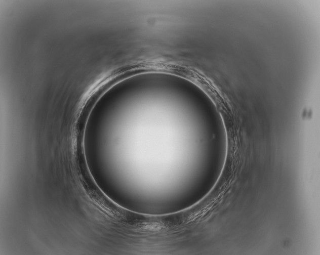 X0000096150344200801251109