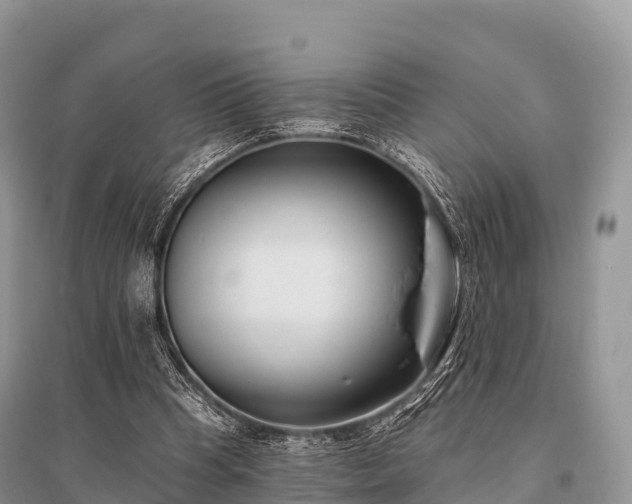 X0000096150345200801251109