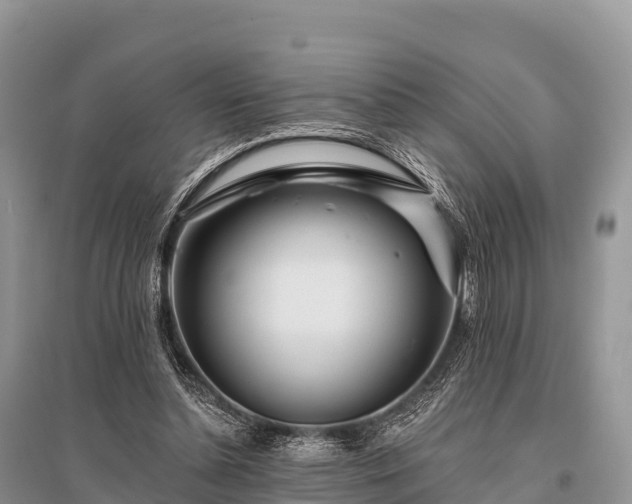 X0000096150348200801251109