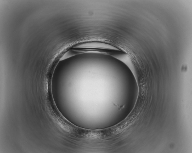 X0000096150350200801251109