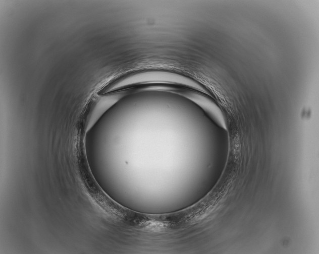 X0000096150352200801251109