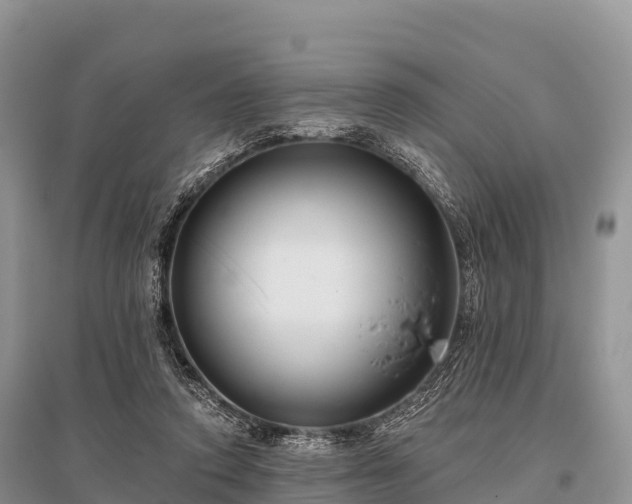 X0000096150354200801251109