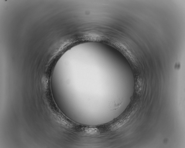 X0000096150355200801251109