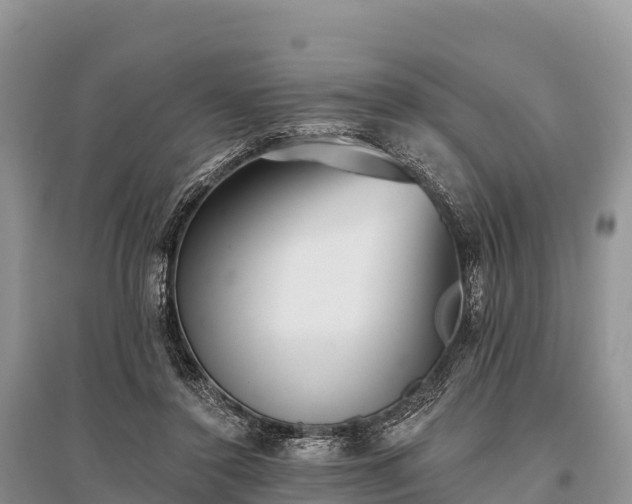 X0000096150356200801251109