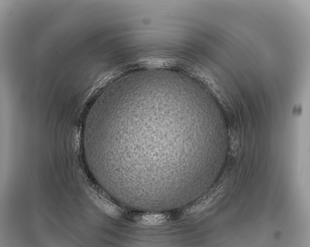 X0000096150357200801251109