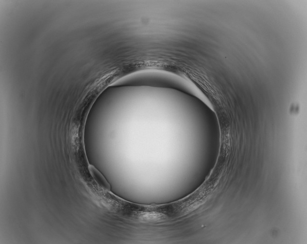 X0000096150360200801251109