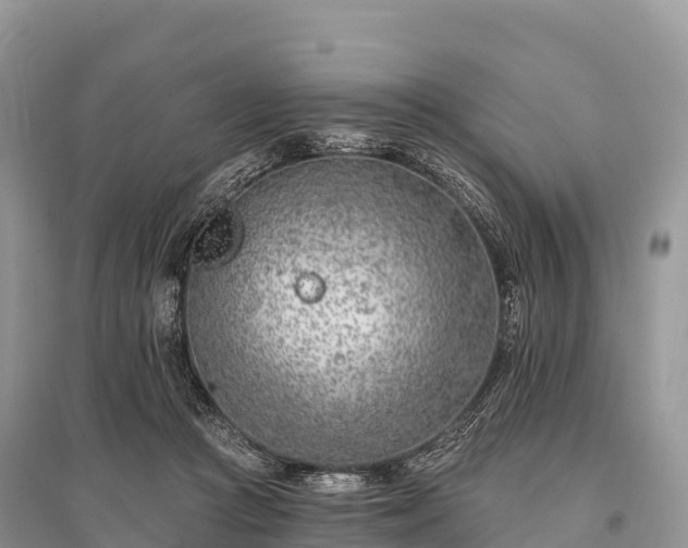 X0000096150361200801251109