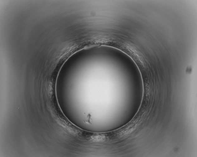 X0000096150362200801251109