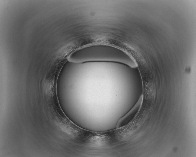 X0000096150364200801251109