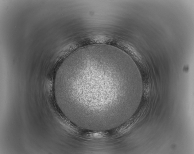 X0000096150365200801251109