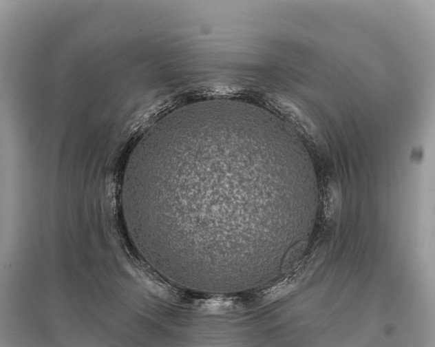 X0000096150366200801251109