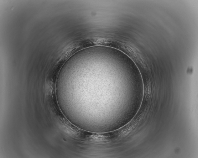 X0000096150367200801251109