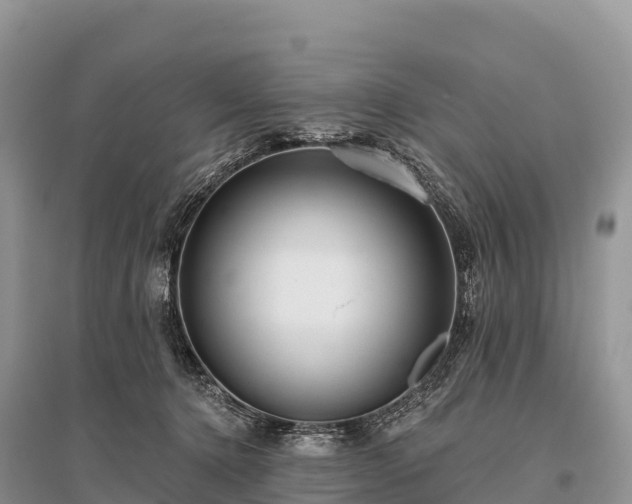 X0000096150368200801251109