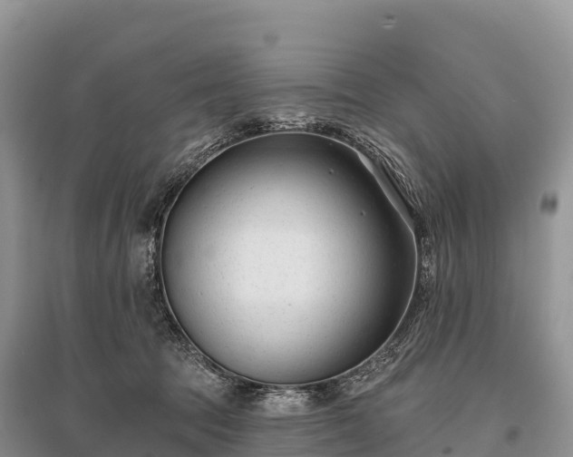 X0000096150369200801251110