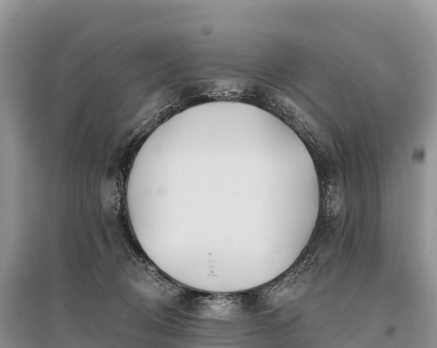 X0000096150370200801251110