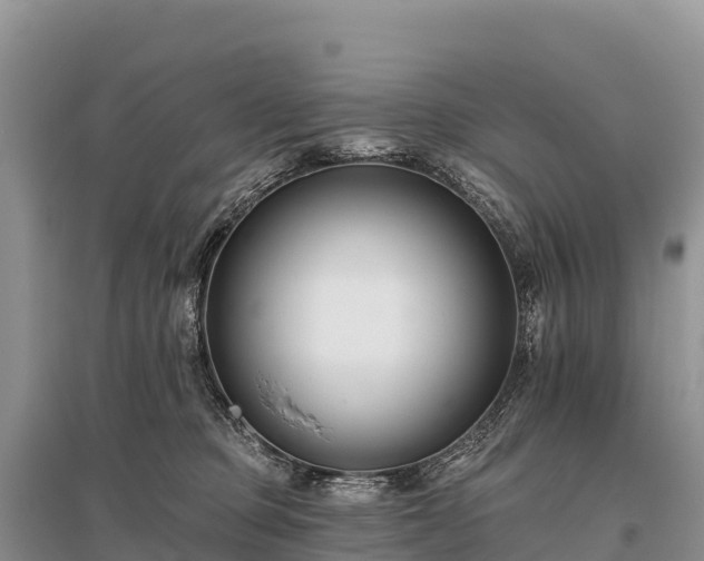 X0000096150373200801251110