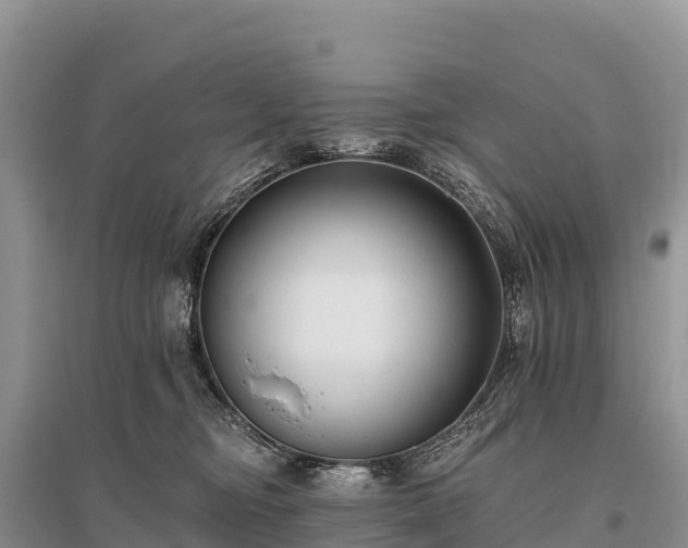 X0000096150374200801251110
