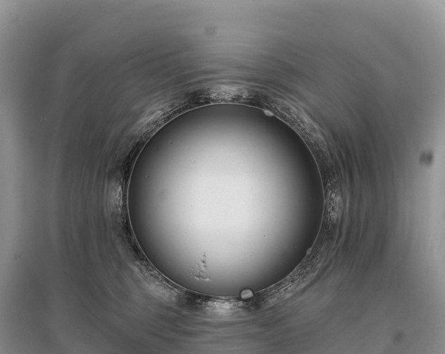 X0000096150375200801251110