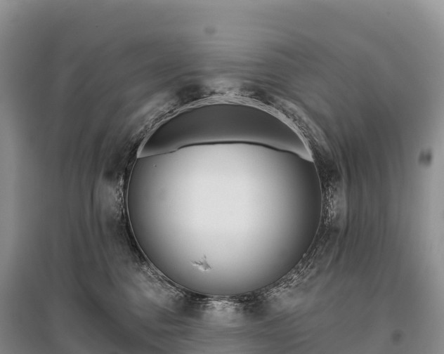 X0000096150376200801251110