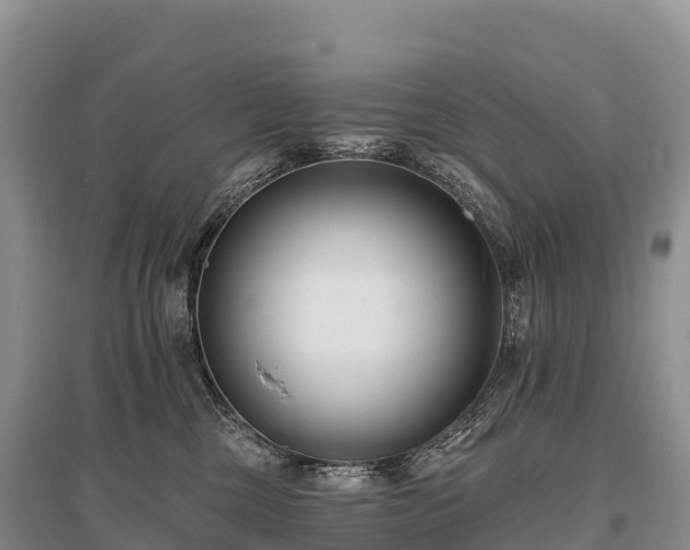 X0000096150377200801251110