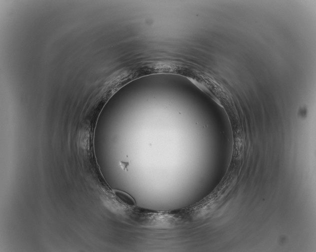 X0000096150379200801251110