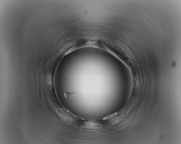X0000096150380200801251110