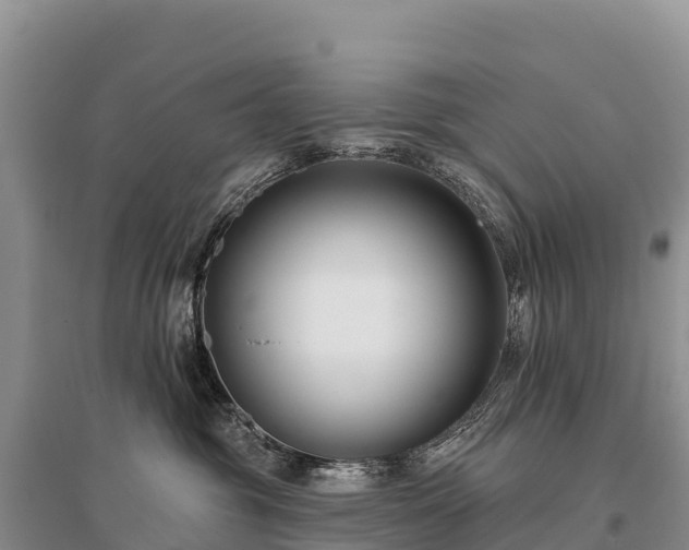 X0000096150381200801251110