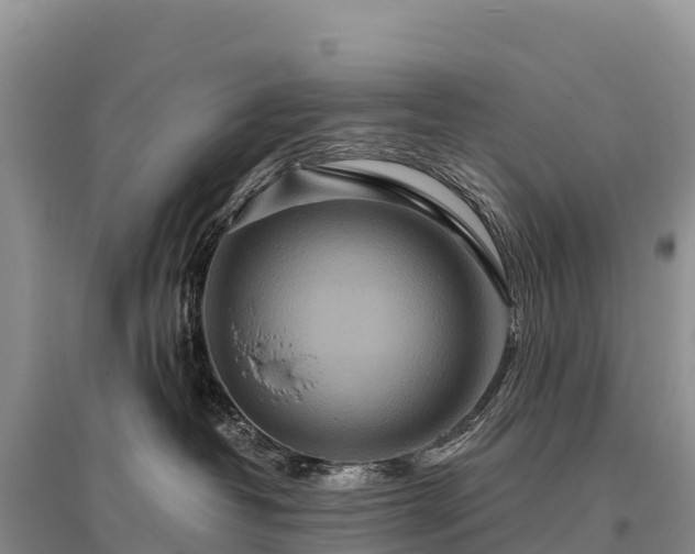 X0000096150382200801251110