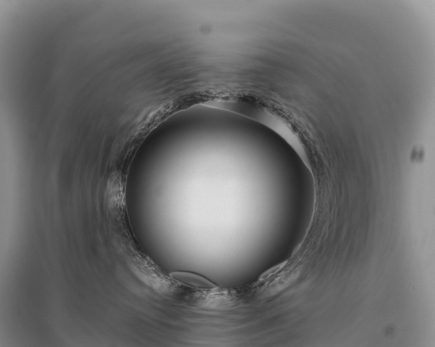X0000096150384200801251110