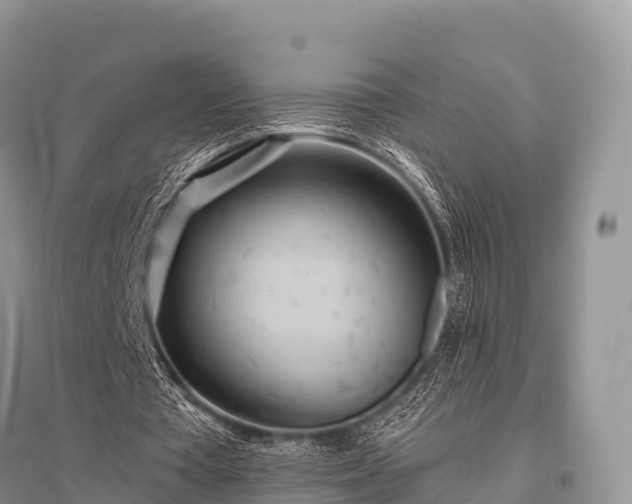 X0000096150385200801251109