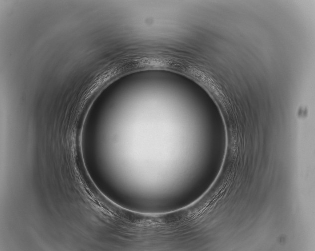 X0000096150386200801251109