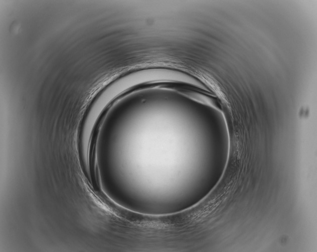 X0000096150389200801251109