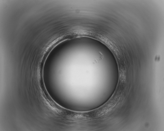 X0000096150390200801251109