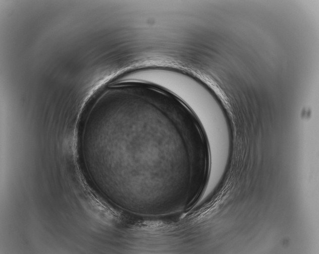 X0000096150391200801251109