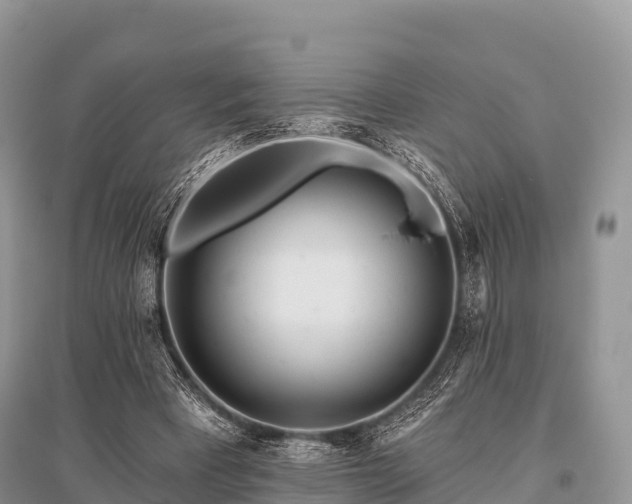 X0000096150393200801251109